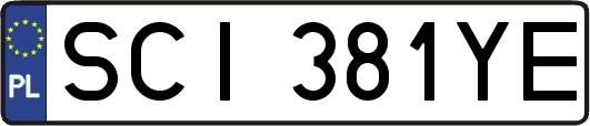 SCI381YE