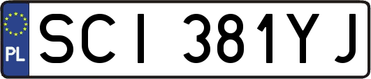 SCI381YJ