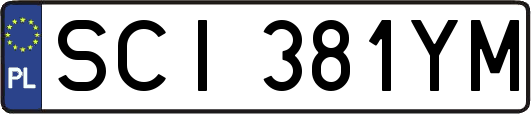 SCI381YM