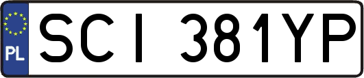 SCI381YP