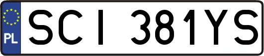 SCI381YS