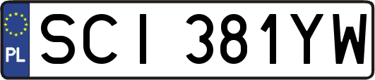 SCI381YW