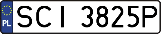 SCI3825P