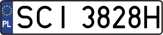 SCI3828H