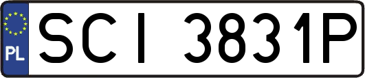 SCI3831P