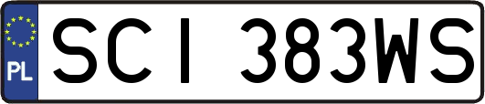 SCI383WS
