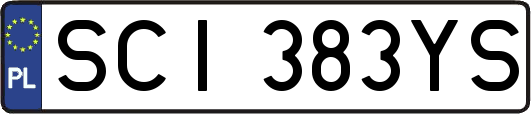 SCI383YS
