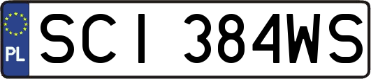 SCI384WS