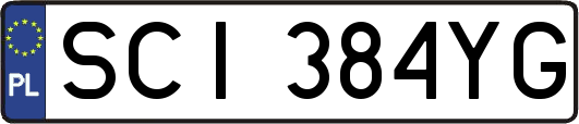 SCI384YG