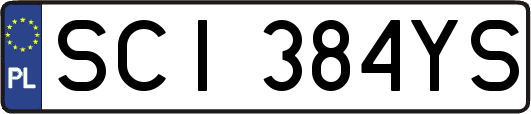 SCI384YS