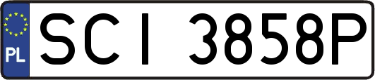 SCI3858P