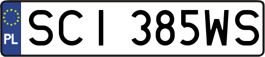 SCI385WS
