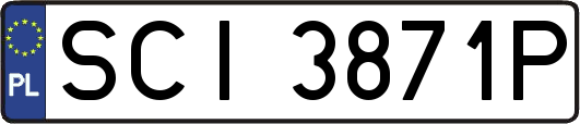 SCI3871P