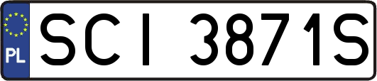 SCI3871S