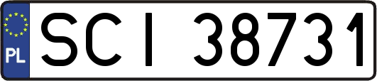 SCI38731
