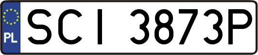 SCI3873P
