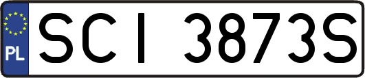 SCI3873S