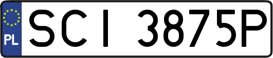 SCI3875P