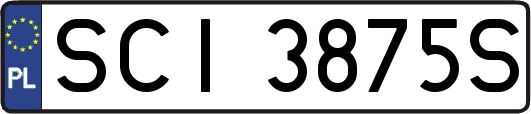 SCI3875S