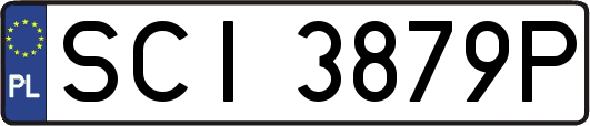SCI3879P