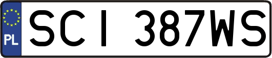 SCI387WS