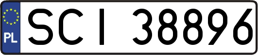SCI38896