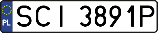 SCI3891P