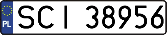 SCI38956