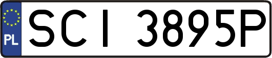 SCI3895P