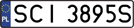 SCI3895S