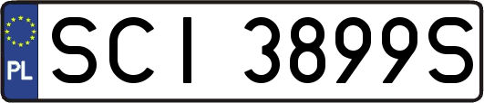 SCI3899S