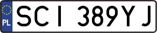 SCI389YJ