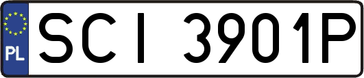 SCI3901P