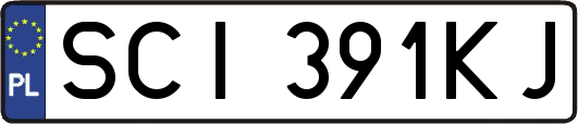 SCI391KJ