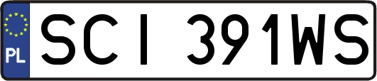 SCI391WS