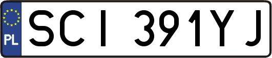 SCI391YJ