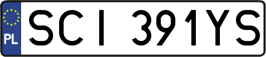 SCI391YS