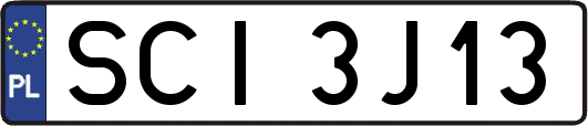 SCI3J13