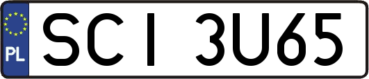 SCI3U65