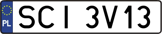 SCI3V13