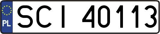 SCI40113