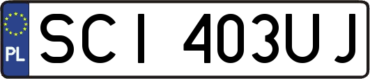 SCI403UJ