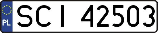 SCI42503