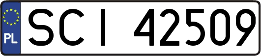 SCI42509