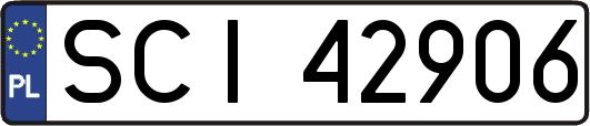 SCI42906