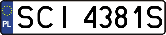 SCI4381S