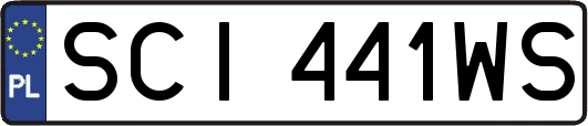 SCI441WS