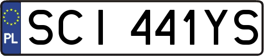SCI441YS