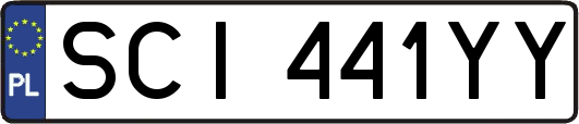 SCI441YY