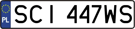SCI447WS